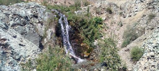 عکس آزادبر