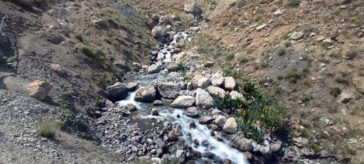 عکس آزادبر