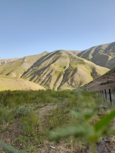عکس آزادبر