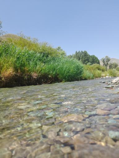 عکس آزادبر