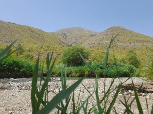 عکس آزادبر