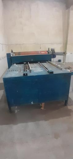 عکس کارتن سازی پرشین پک راگا