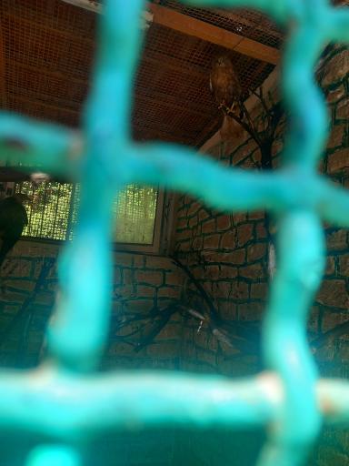 عکس پارک پرندگان