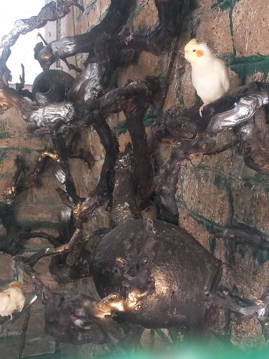 عکس پارک پرندگان