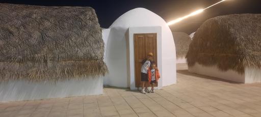 عکس کمپ هامون