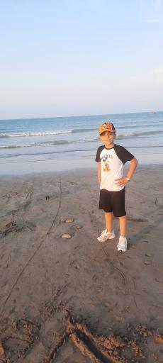 عکس کمپ هامون