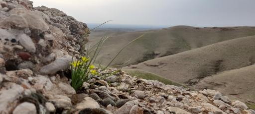 عکس دره خرسان دزفول 