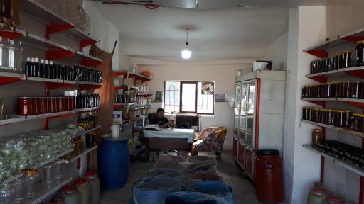 عکس زیتون سرا و سیرترشی سلمانی