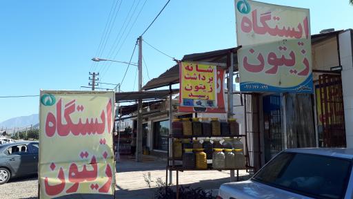 عکس زیتون سرا و سیرترشی سلمانی