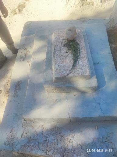 مزار رضا بامری نژاد