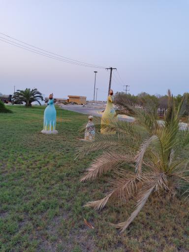 عکس کمپ هامون