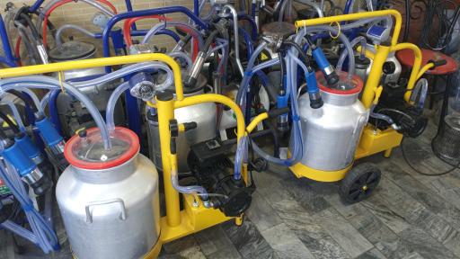 عکس بازرگانی شیردوش قلی نژاد