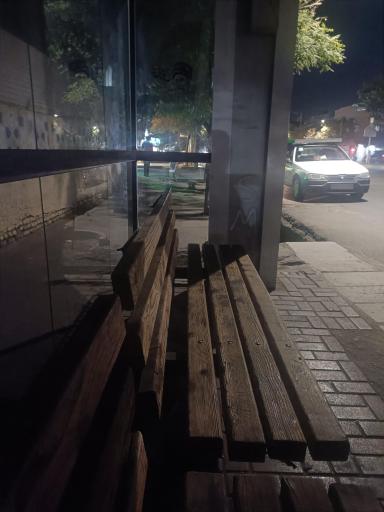 عکس  چمن 33