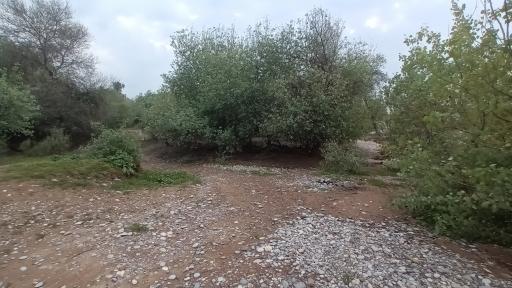 عکس ساحل روستای عباس آباد