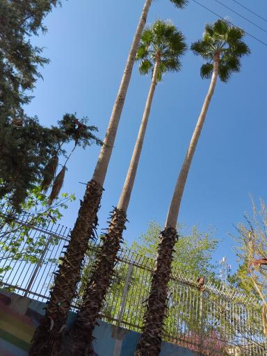 عکس بوستان فضیلت