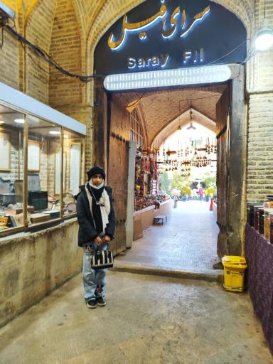 عکس سرای فیل