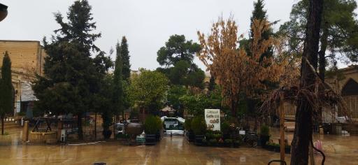 عکس سرای فیل