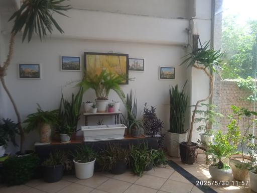 تاکسی سرویس بهمن