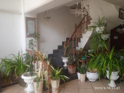 عکس تاکسی سرویس بهمن