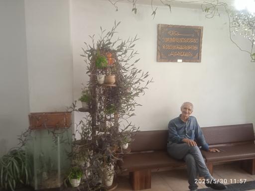 تاکسی سرویس بهمن