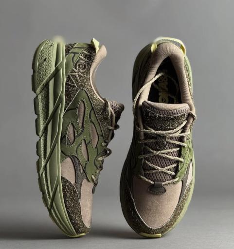 عکس دونا کتونی