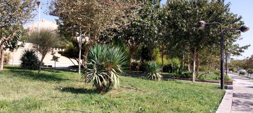 عکس بوستان بهار
