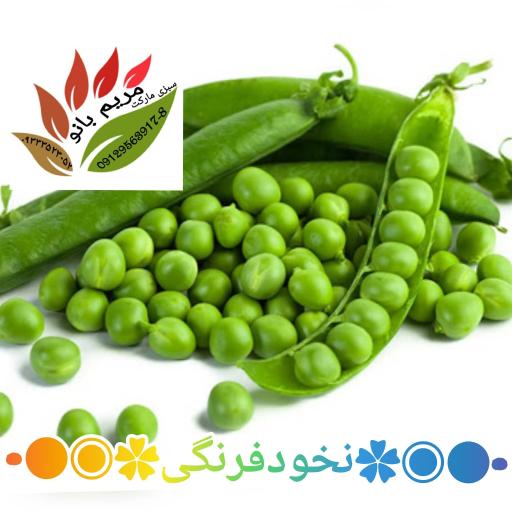 سبزی مارکت مریم بانو شعبه مرکزی