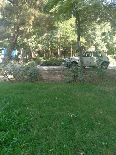 عکس بوستان خطی رز