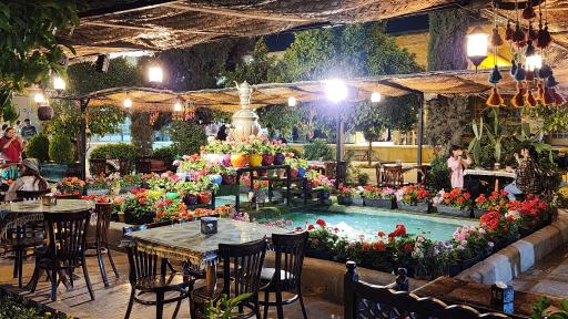 عکس سرای فیل