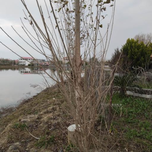 عکس آب بند مغانده