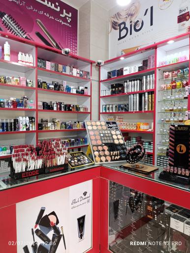 عکس گالری تندیس