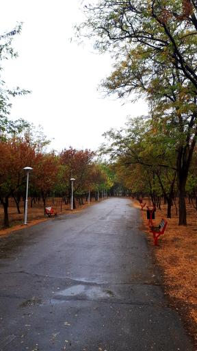 عکس بوستان جنگلی طرق