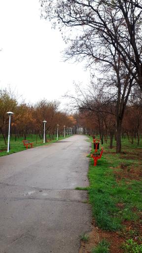 عکس بوستان جنگلی طرق