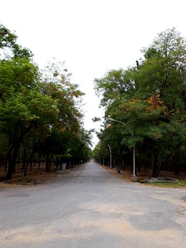 عکس بوستان جنگلی طرق