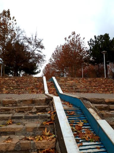 عکس بوستان جنگلی طرق