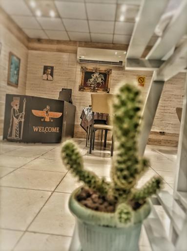 عکس رستوران خانواده