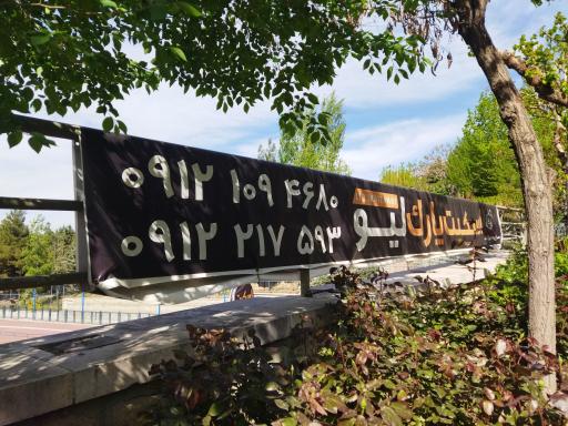 عکس زمین اسکیت