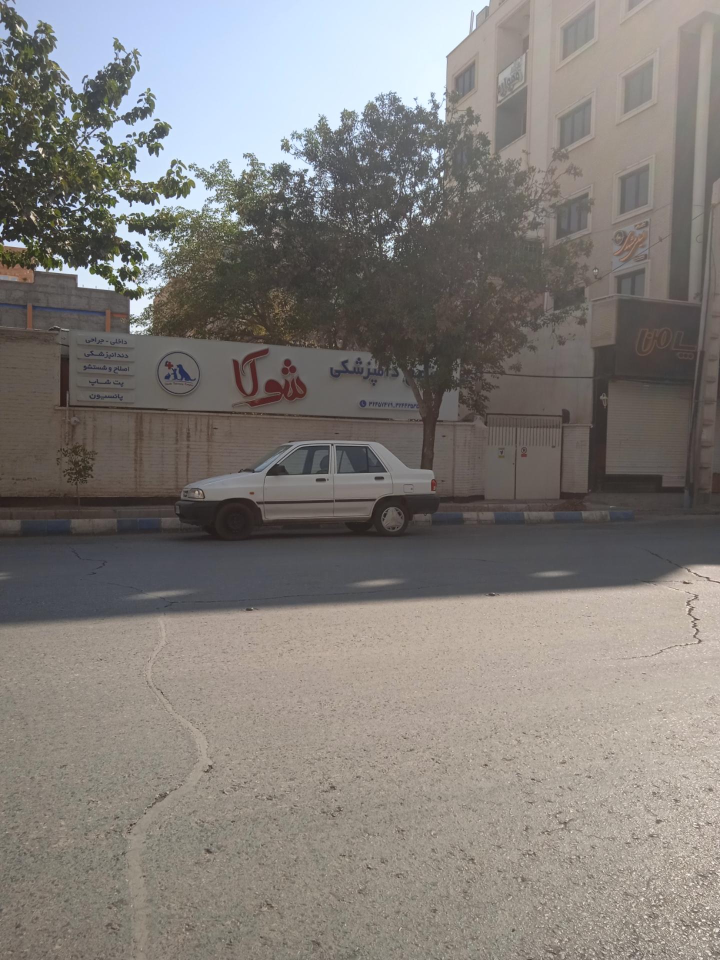 عکس مجتمع دامپزشکی شوکا