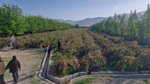 عکس مزرعه گردشگری آنی گل