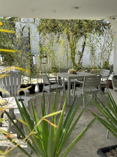 عکس کافه سوریسو