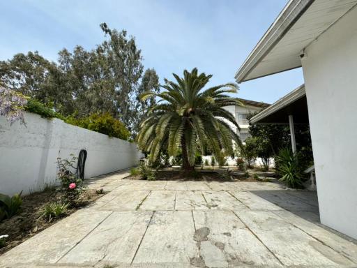 عکس کافه سوریسو