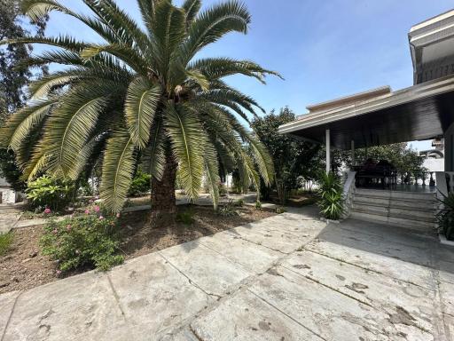 عکس کافه سوریسو