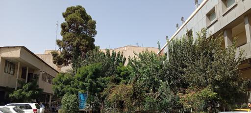 عکس بیمارستان طرفه