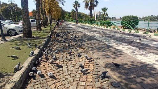 عکس دریاچه شیطان کوه لاهیجان