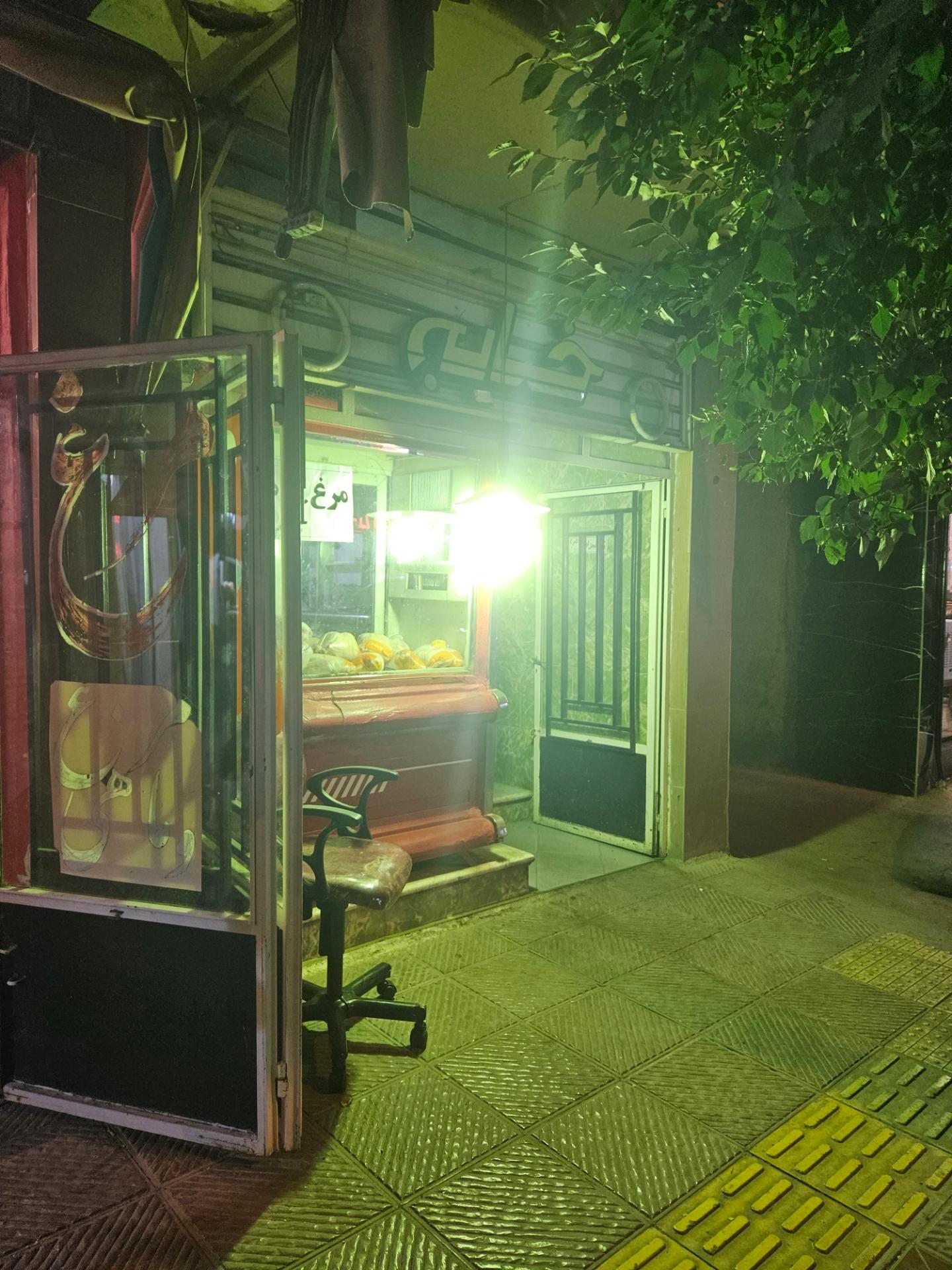 عکس مرغ و ماهی