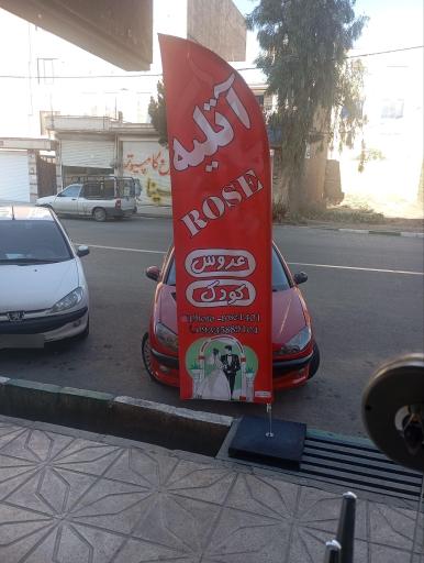 عکاسی و فیلم برداری رز