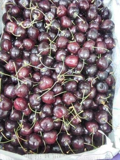عکس میوه و تره بار کیانا