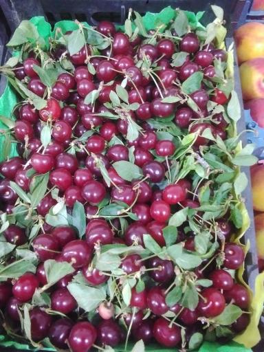 عکس میوه و تره بار کیانا