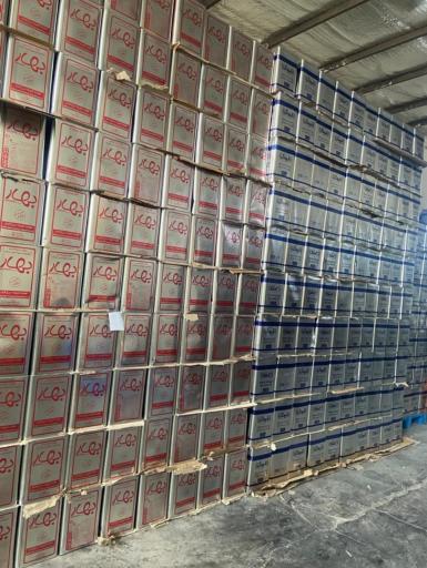 عکس روغنکده شایان نظری