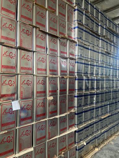 عکس روغنکده شایان نظری